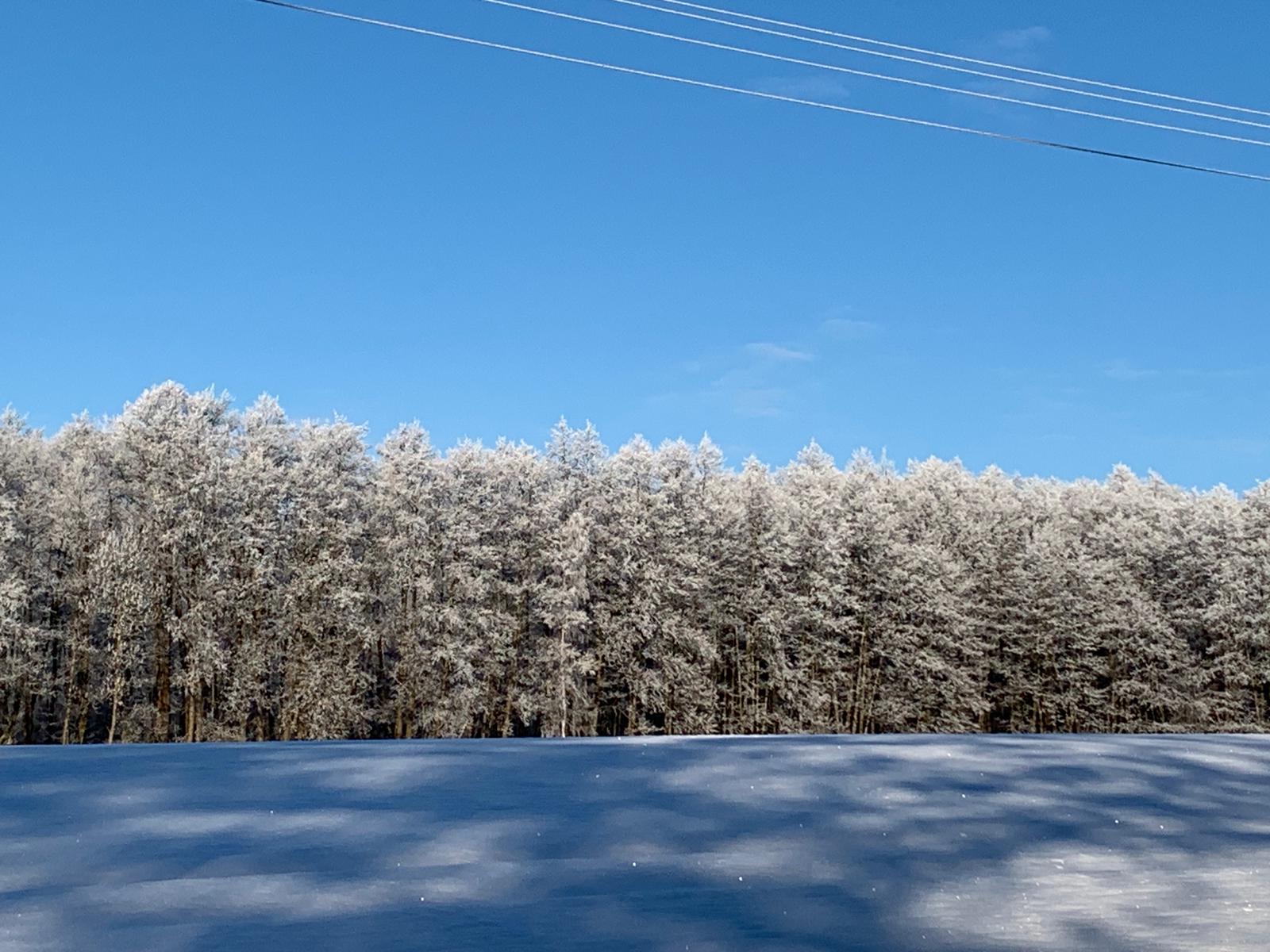 IMG 20260109 WA0007 1